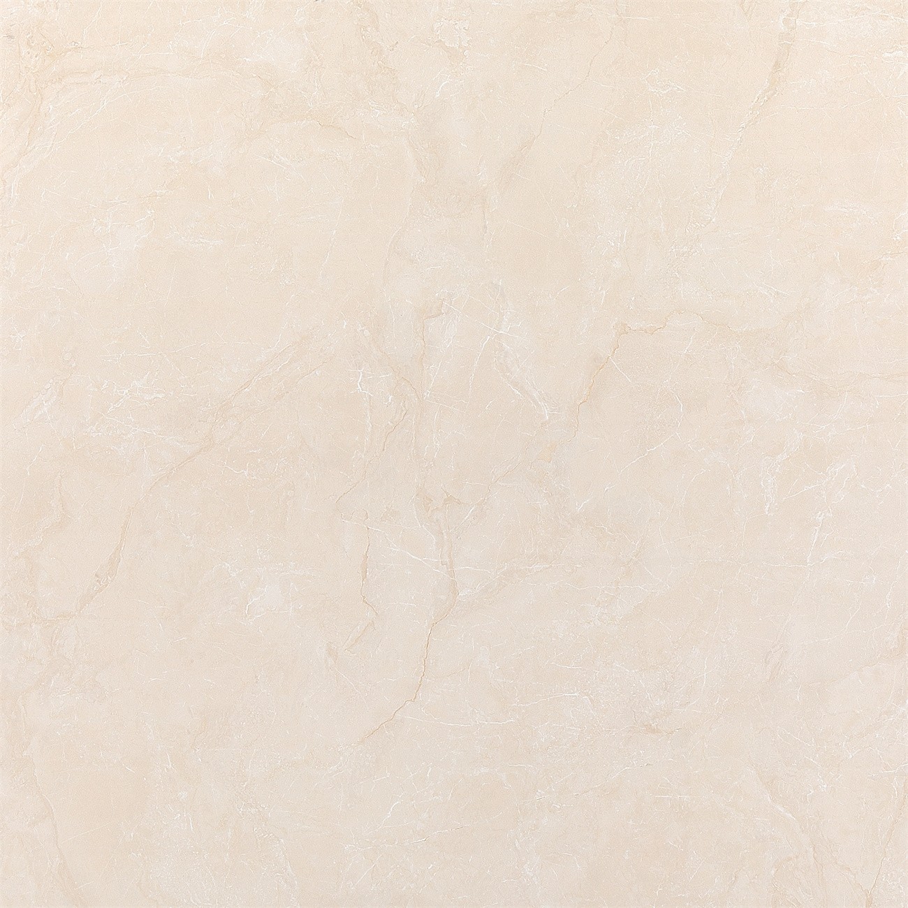 LE8296