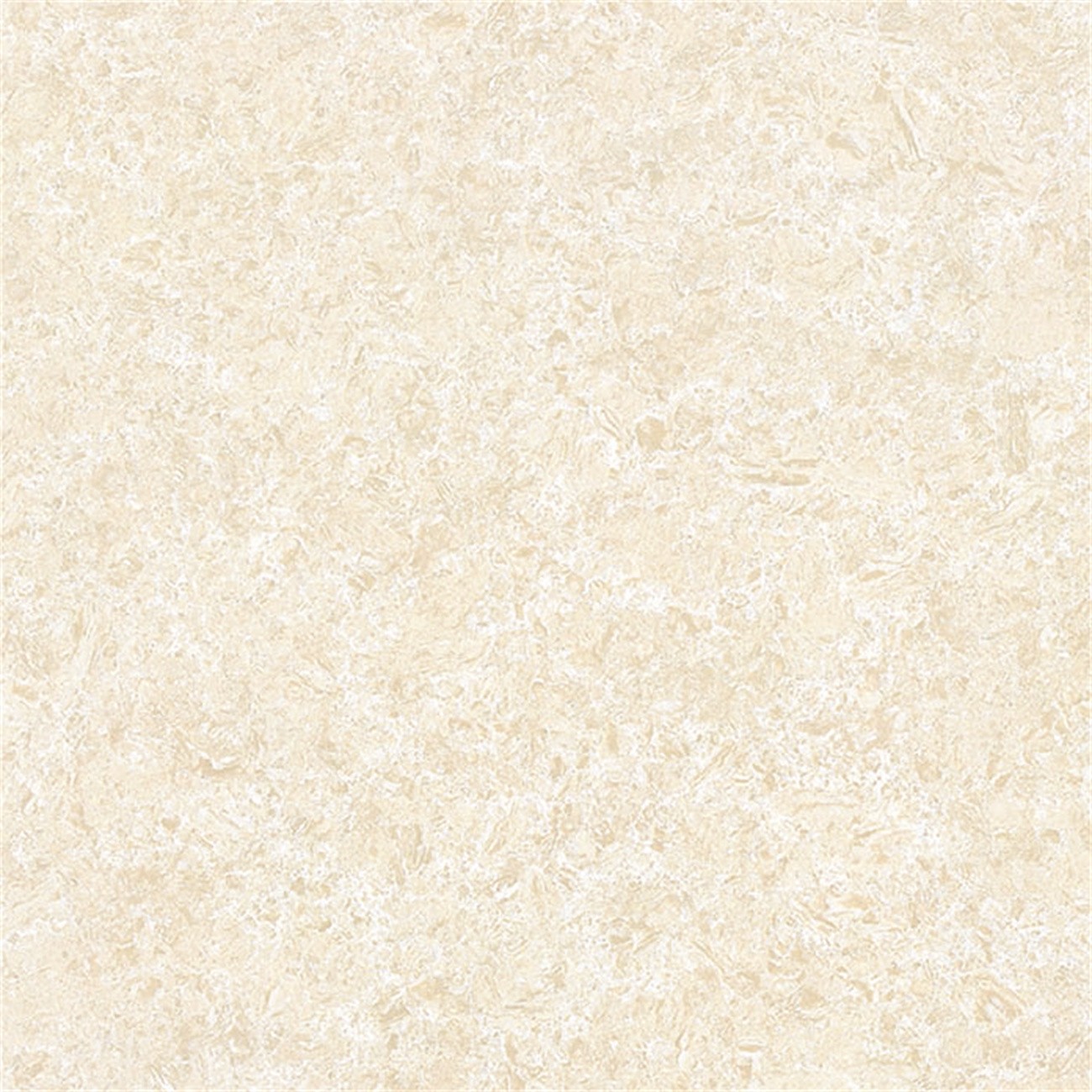 8LY01