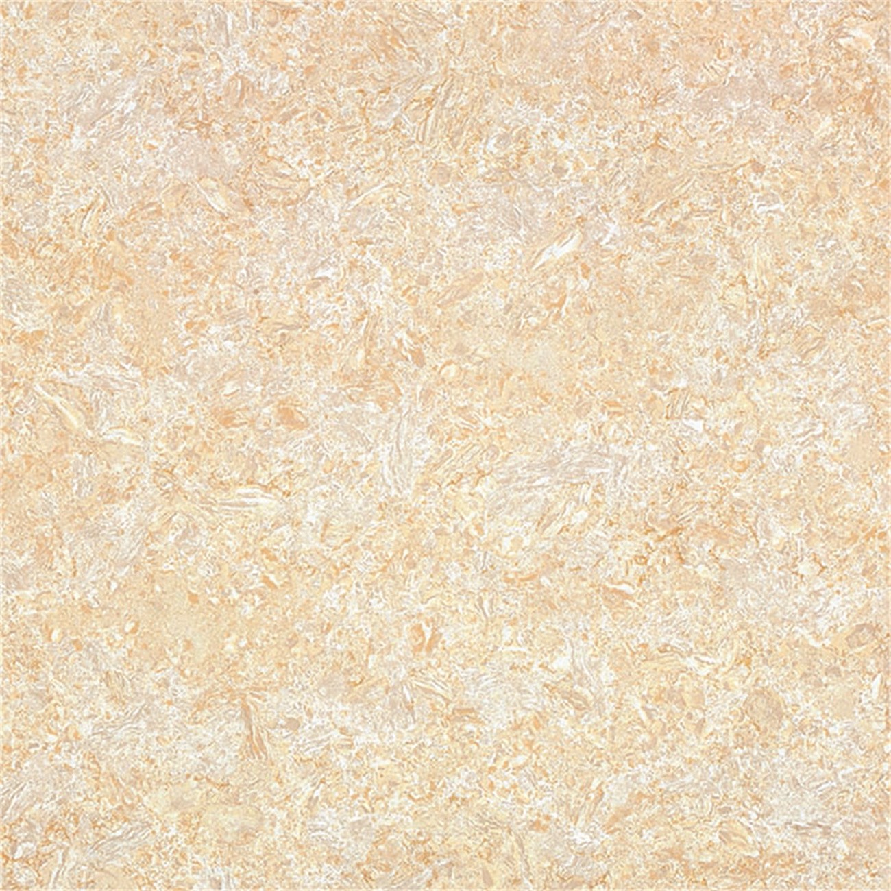 8LY02