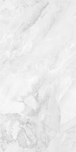 LW12682