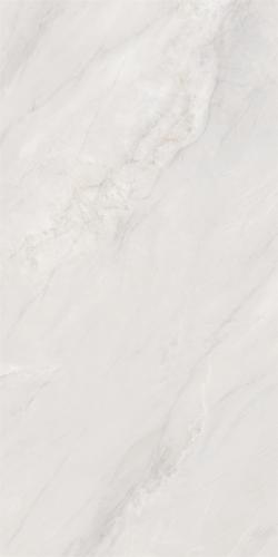 612LW219-2