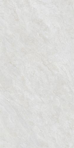 612SW209-1-(2)